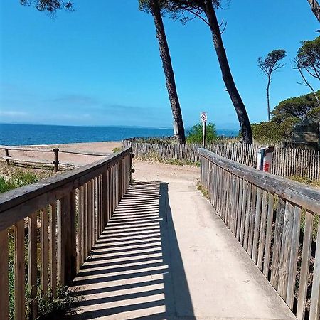 Le Jardin De La Plage - Linges Inclus Ла-Лонд-ле-Мор Екстер'єр фото